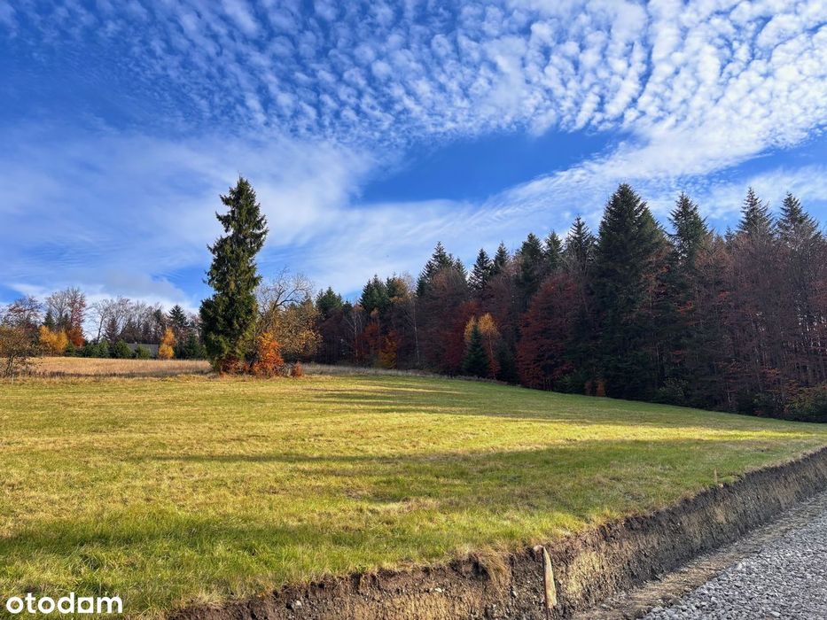 Działki budowlane - Uście Gorlickie/Oderne