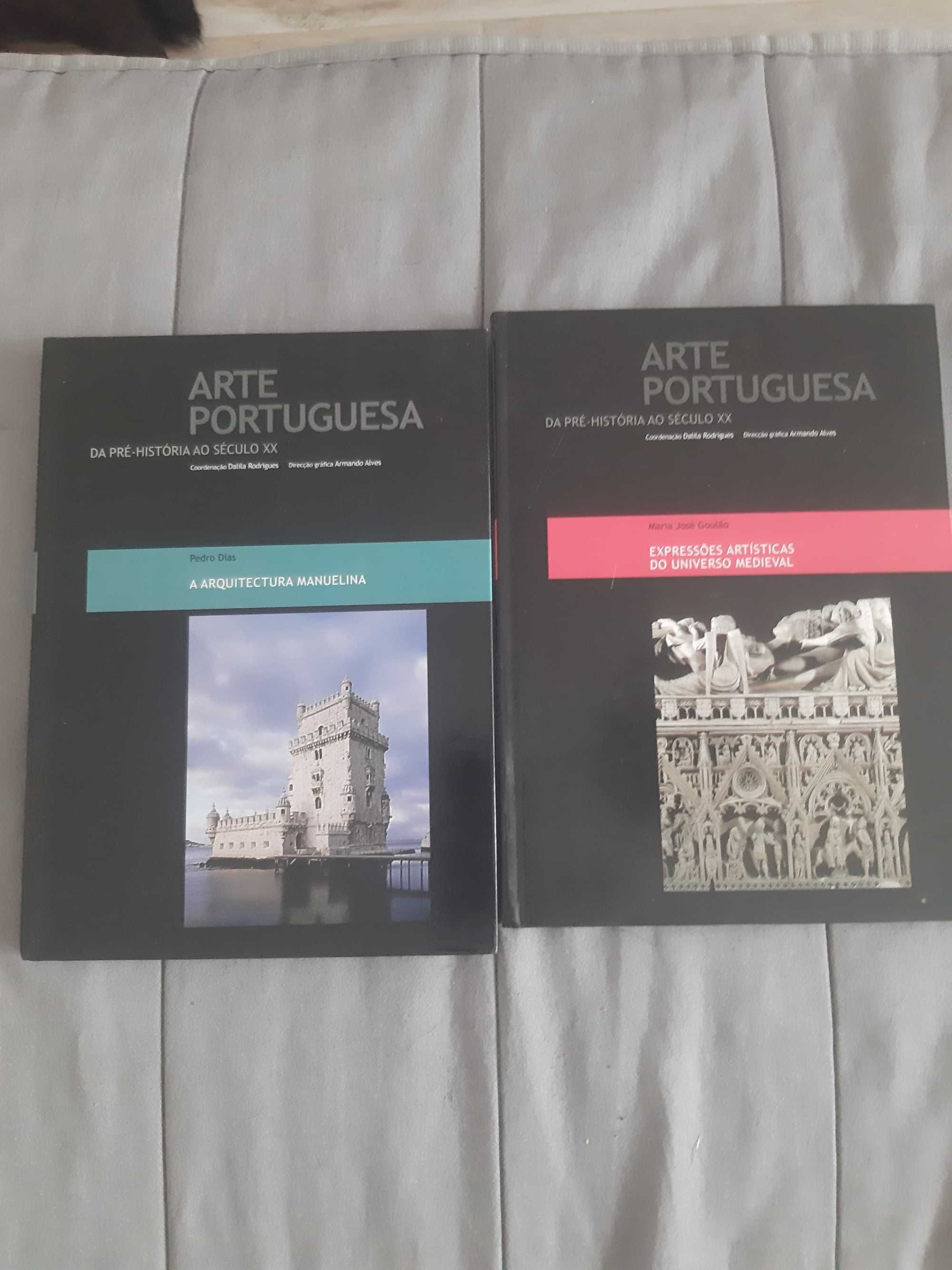 Arte Portuguesa da Pré-Historia ao Século XX