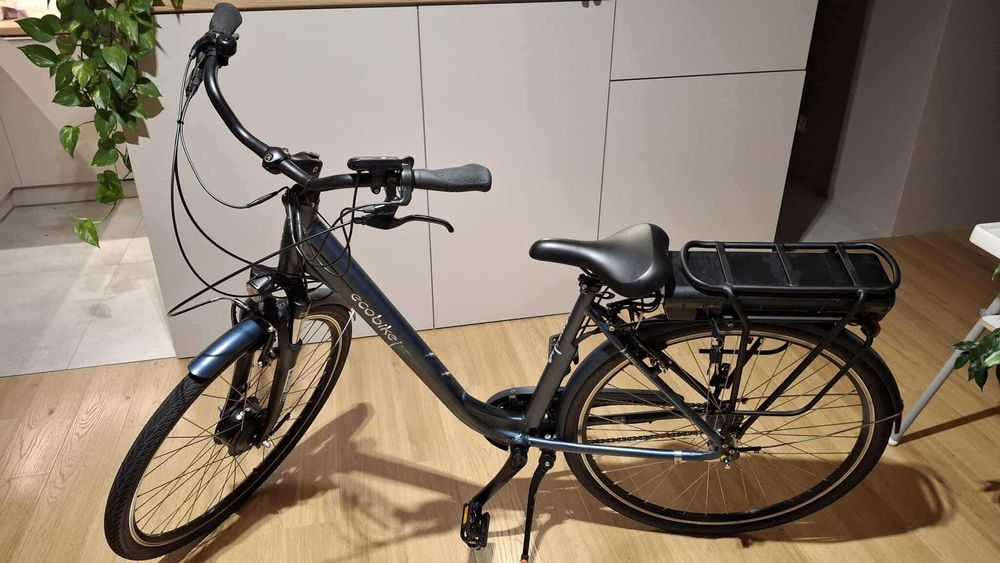 Rower elektryczny Ecobike Basic Nexus