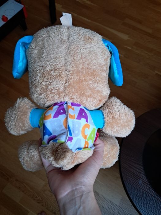 Szczeniaczek uczniaczek Fisher price