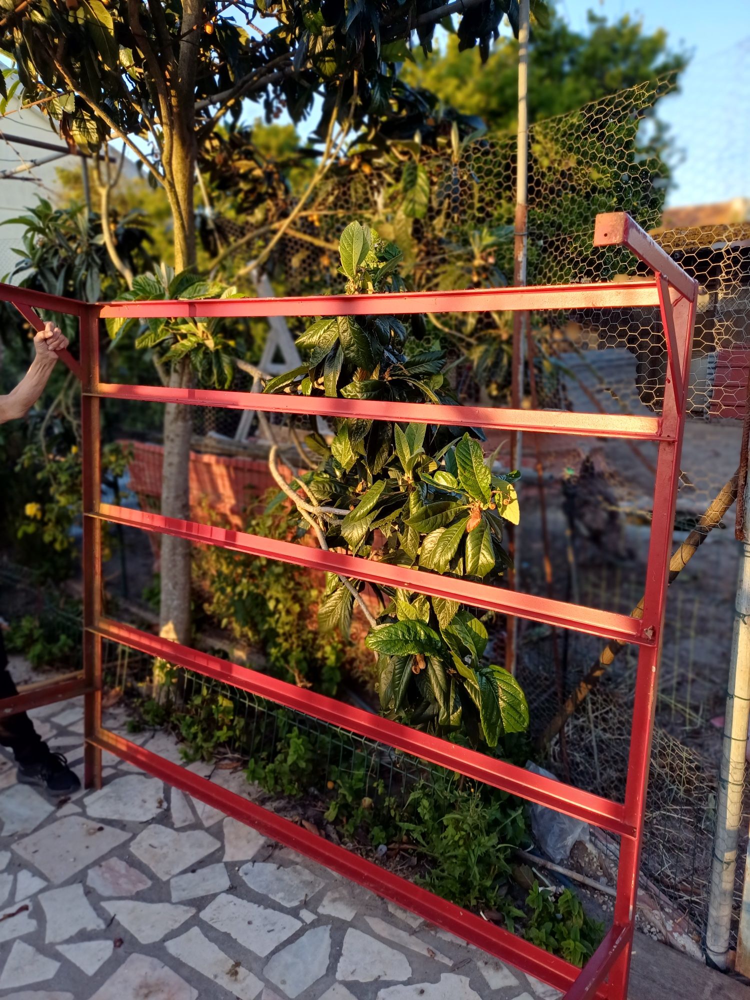 Gradeamento exterior ideal para canil