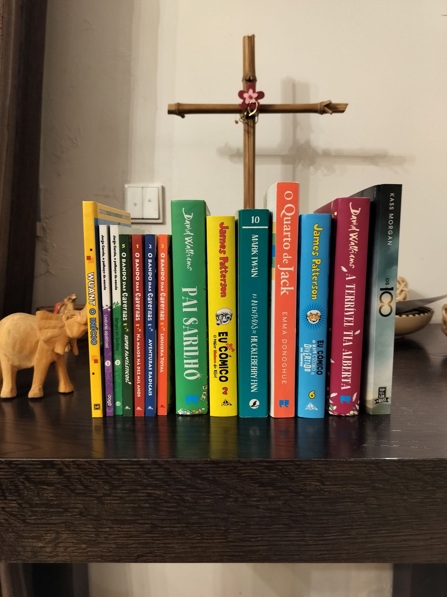 Conjunto de livros juvenis