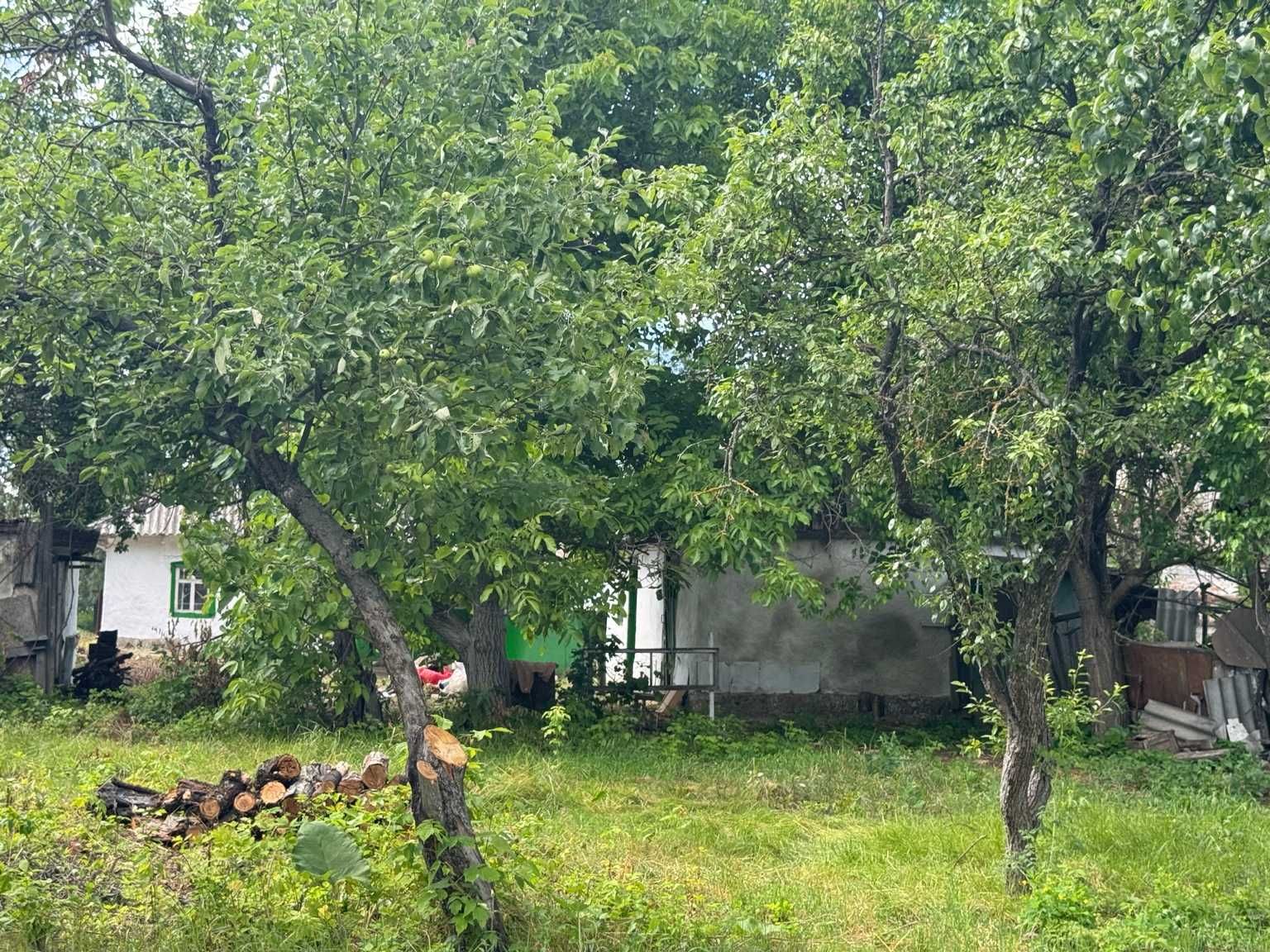 Хата з газом, світлом і садом – 30 соток біля озера, асфальт до двору