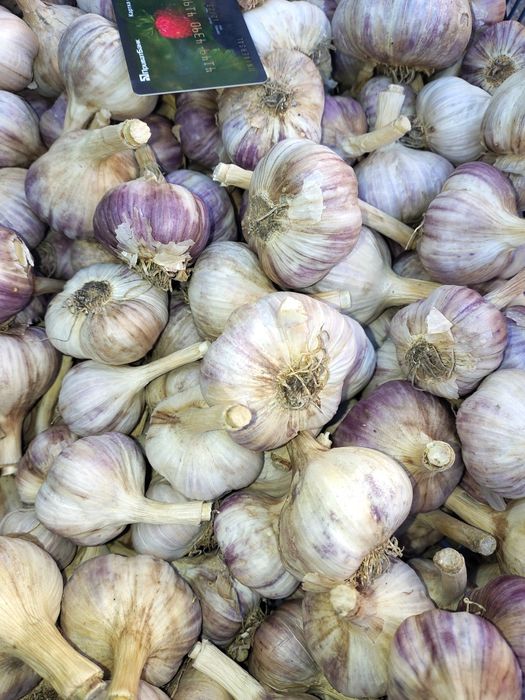 Продам часник сорту Любаша та Софіївський