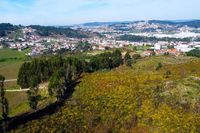 Terreno Construtivo - São Martinho do Campo