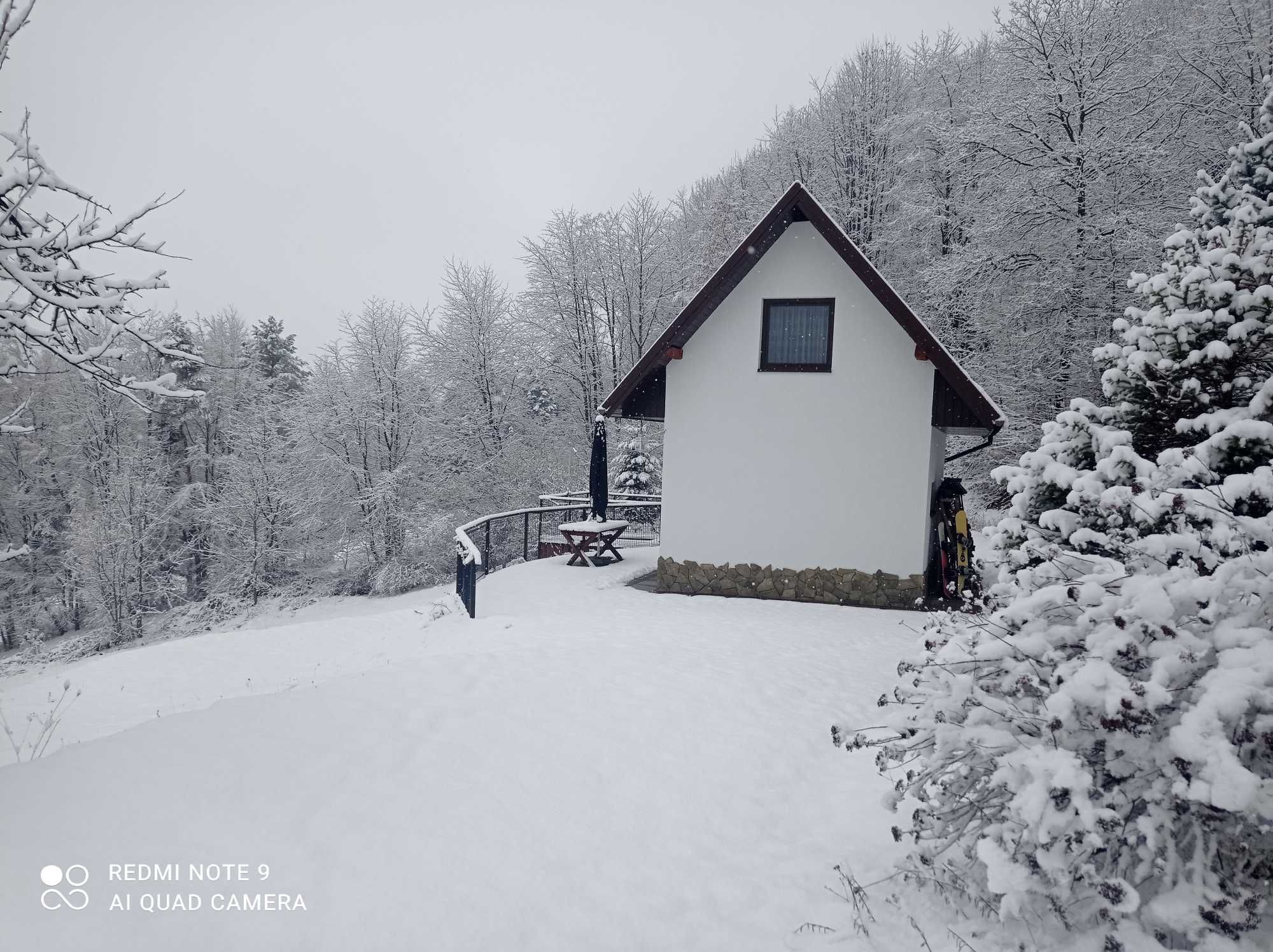 Domek w górach do wynajęcia, Laskowa