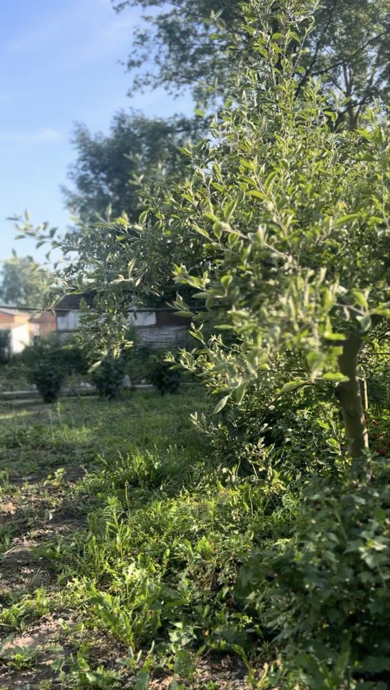 Продаж будинку під Вінницею за 29900