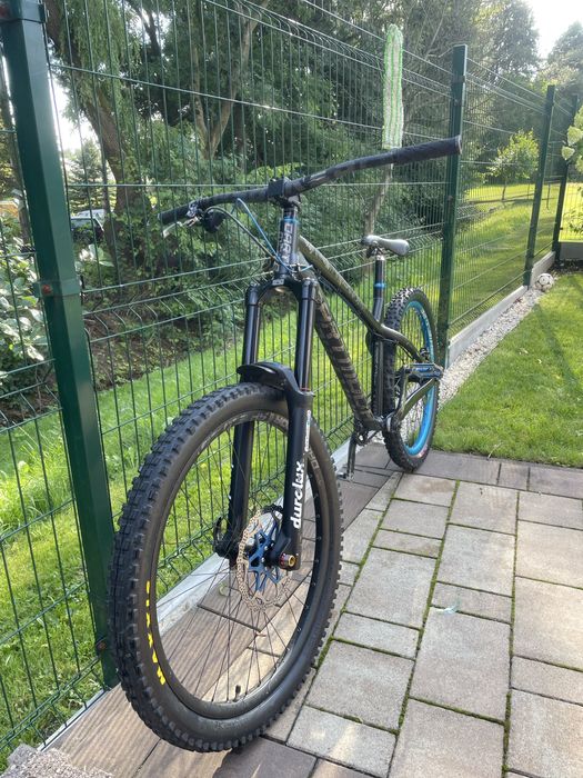 Dartmoor Hornet 2019