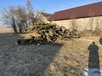 Drewno do wedzenia Śliwka Wiśnia Jabłoń opał kominkowe liściaste