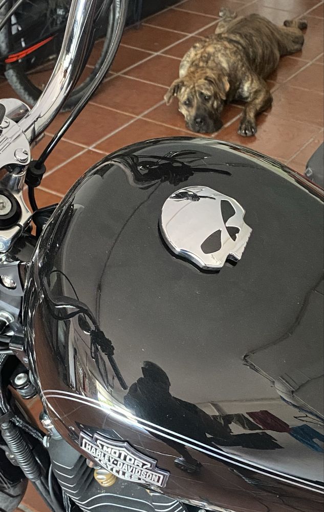 Harley-Davidson Sportster 1200T SuperLow
