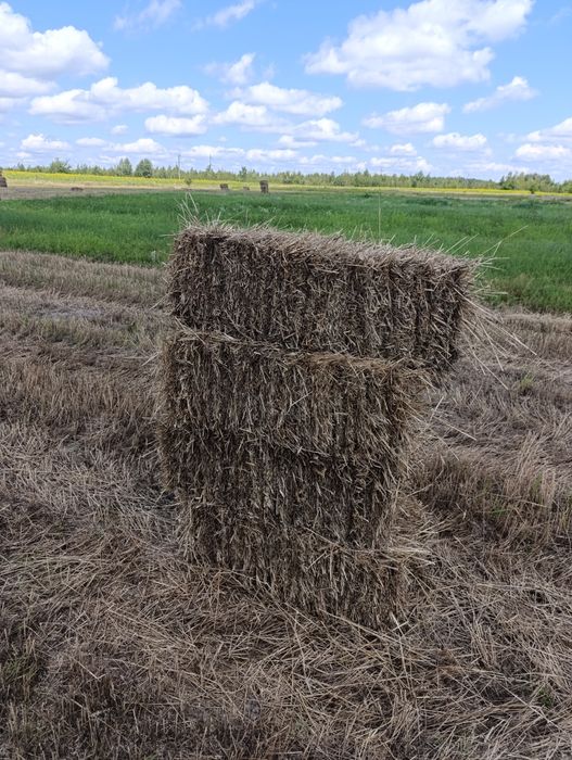 Продам сіно та солому в тюках