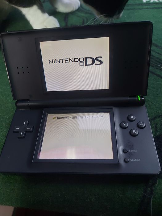 2 jogos para Nintendo bs lite