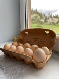 swojskie kurze jajka