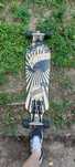 longboard santafe