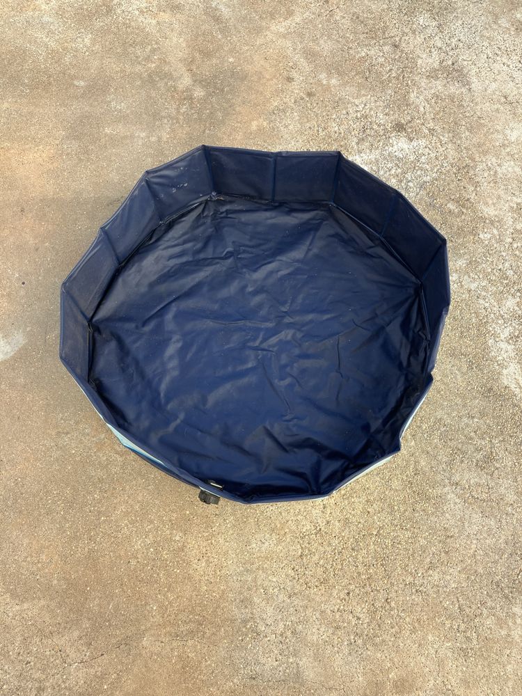 Piscina para cão