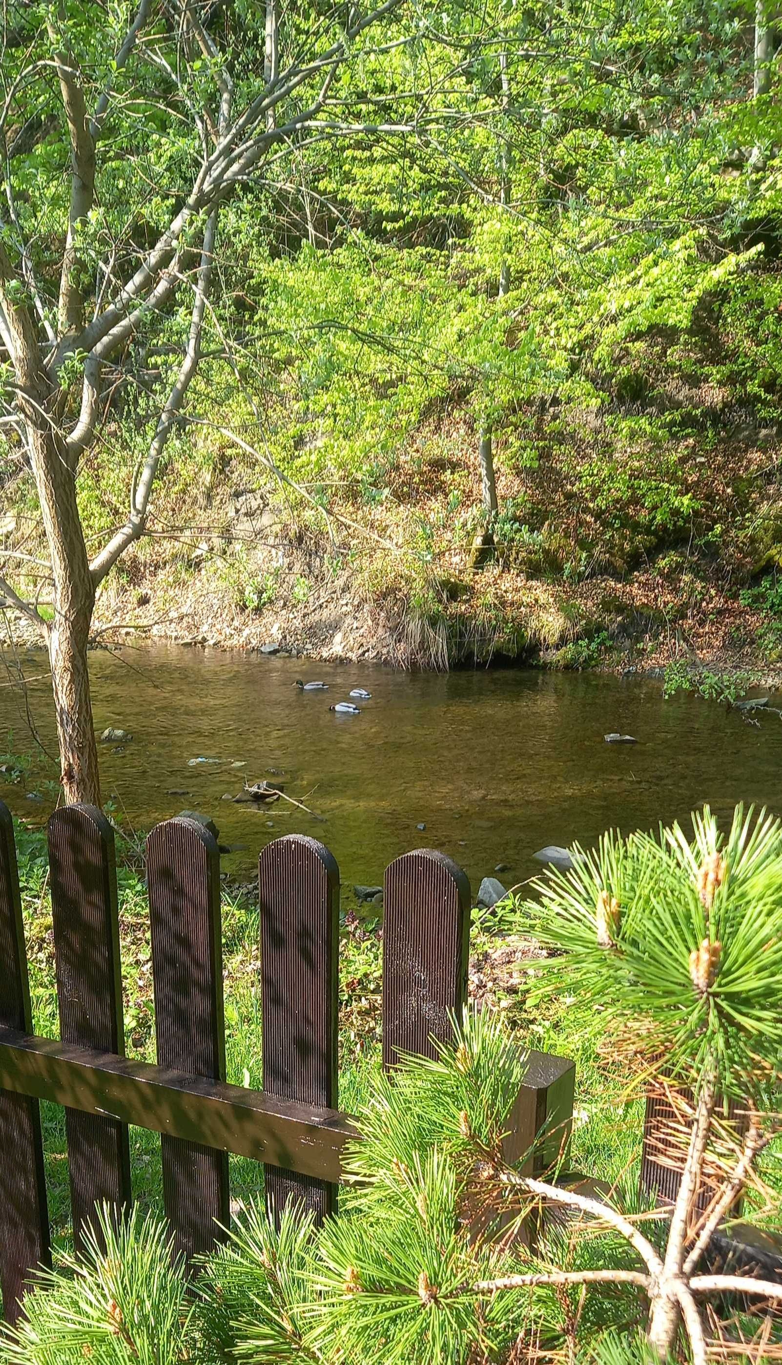 Domek ogrodzony nad rzeką wakacje kominek jacuzzi Beskidy Brenna,Wisła