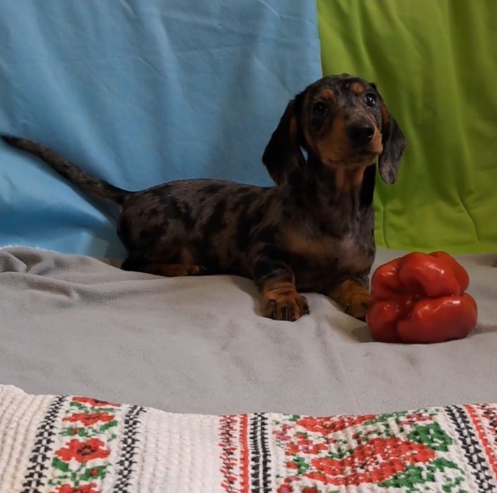Класний перець..