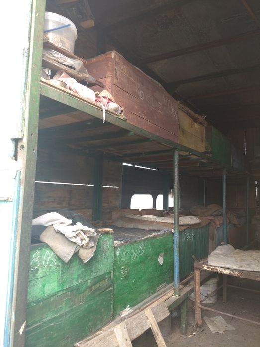 Пчелопавильон, пчёлы