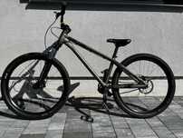 Rower Kellys Whip 10 RAW