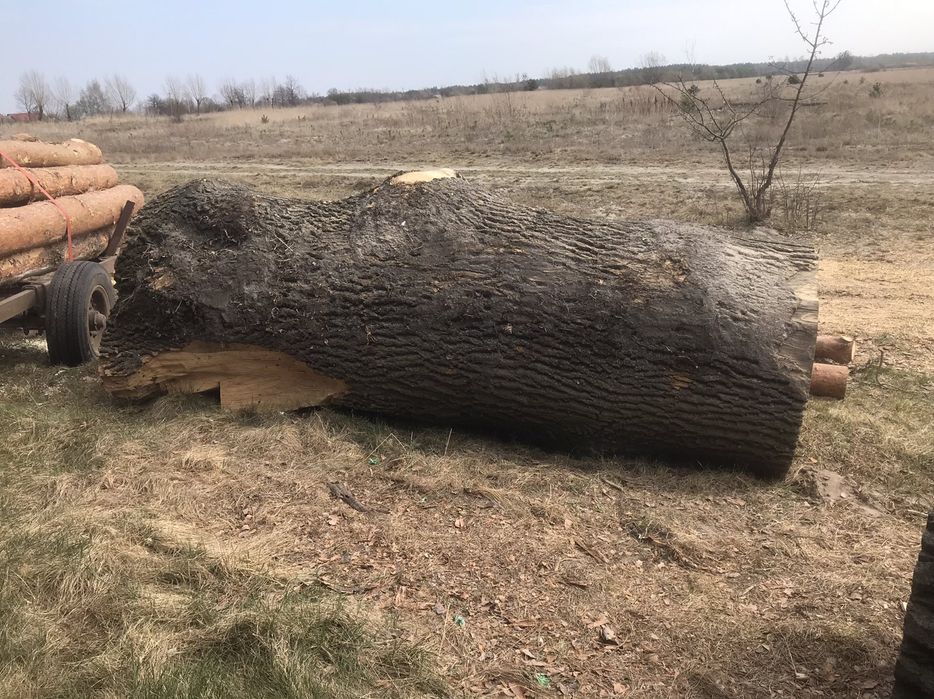 Слеби з ясена шириною метер +