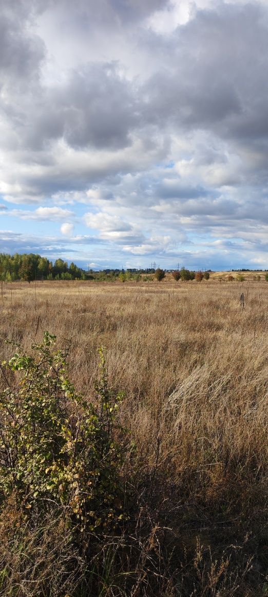 Продам землю сільськогосподарського призначення