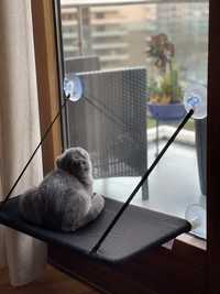 Cama de gato de janela