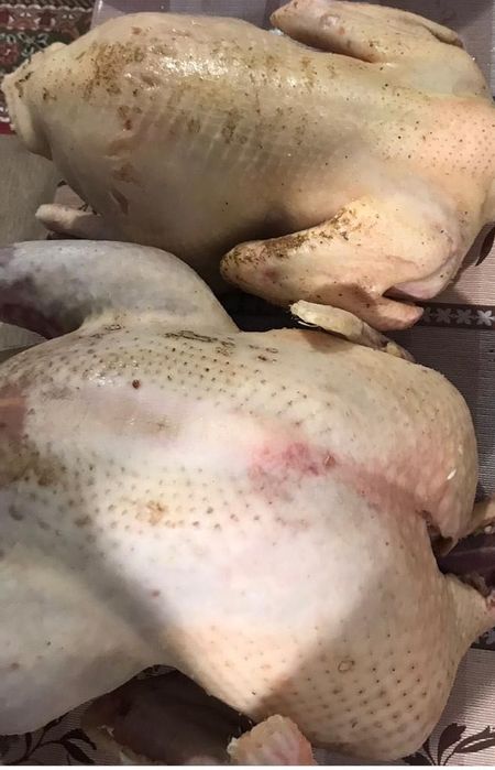 Продам індиків/індичок