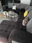 Sofa XXL cinzento
