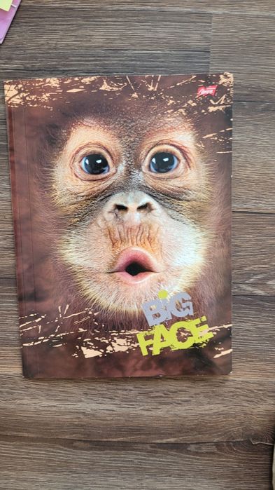 Teczka na gumke zwierzęta