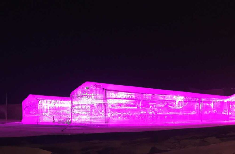 Profesjonalne oświetlanie szklarni Grow LED 240W lampa szklarniowa