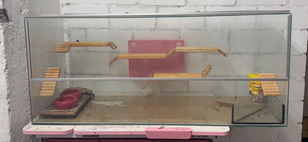 Terarium akwarium polecam!!