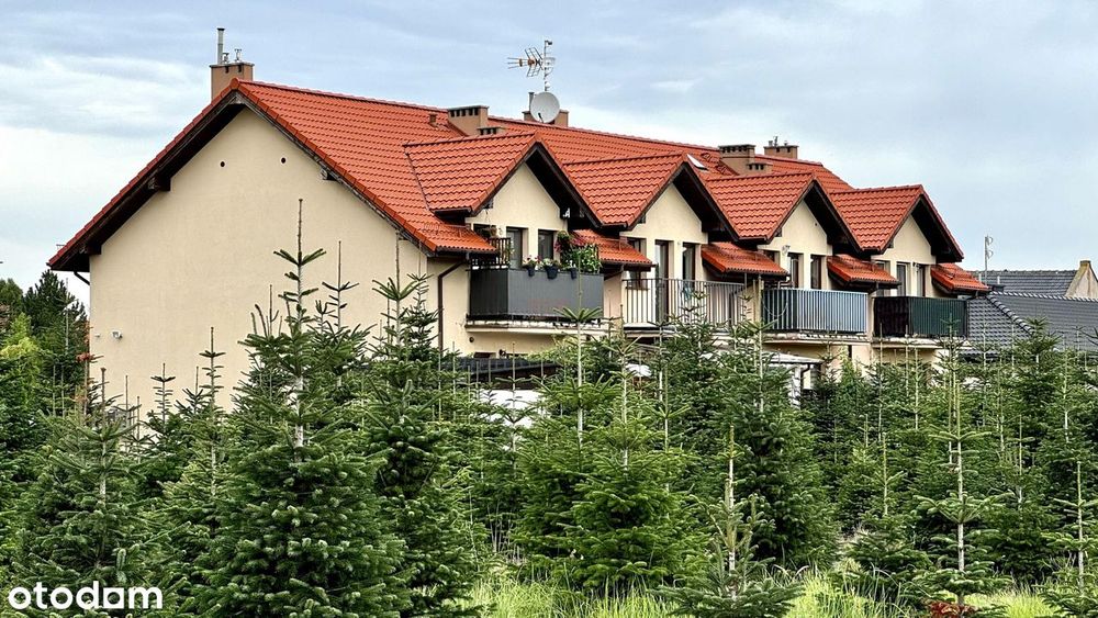 2 pokoje z balkonem w cichej, spokojnej okolicy