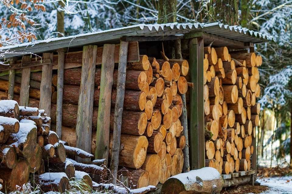 Дрова мягких пород, сосна, сосновые дощечки, плашки и другие дрова