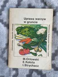 Uprawa warzyw w gruncie M.Orłowski, E.Kołota, I.Strychacz