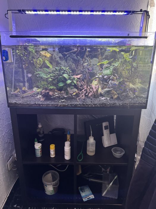 Vendo aquario a trabalhar