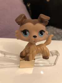 Littlest Pet Shop Figurka Pies Collie #853 LPS POP Shorthair Dog