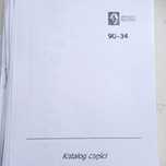 Katalog Części RENAULT 85-34  90-34  Inne modele