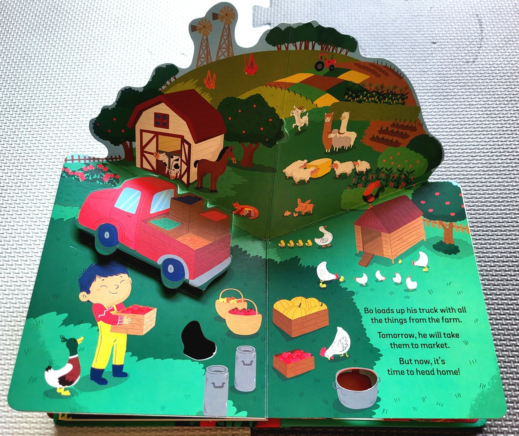 Zoom Farm Adventure czytanka po angielsku zwierzęta na wsi