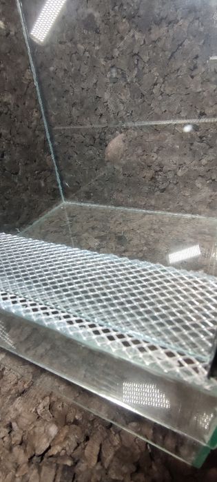 Terrarium szklane