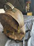 Louis Vuitton Bagpack