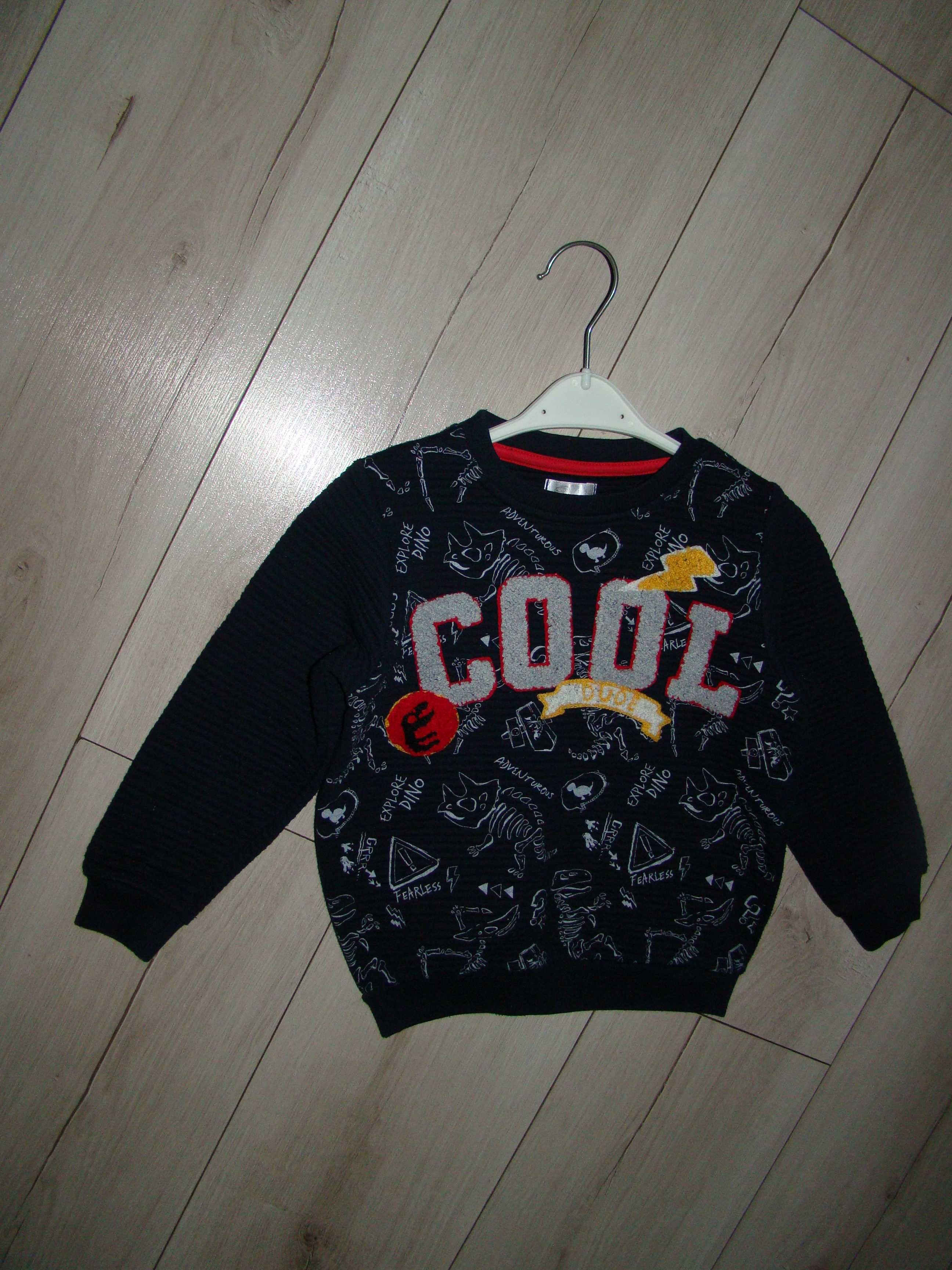 Bluza dla chłopca rozmiar 98