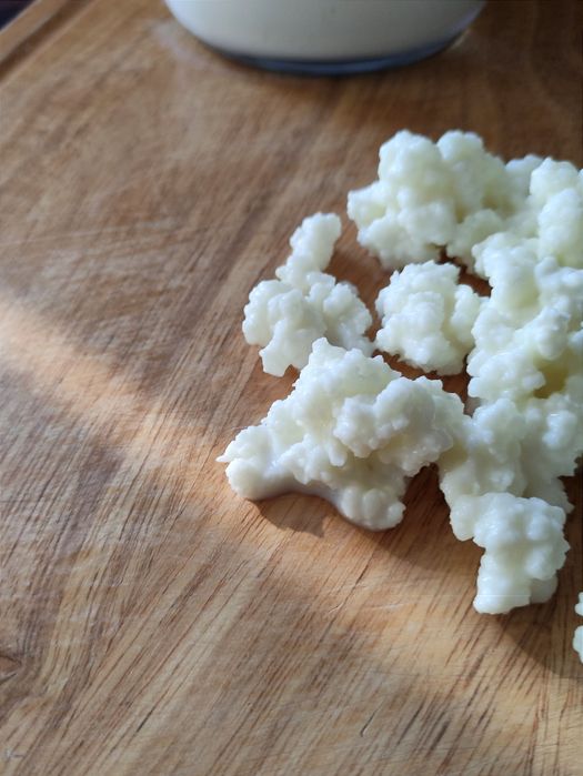 Kefir \ Quefir \ kephir de Leite