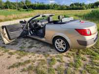 Renault Megane 2.0b KARMANN  Kabrio Skóry Grzane fotele