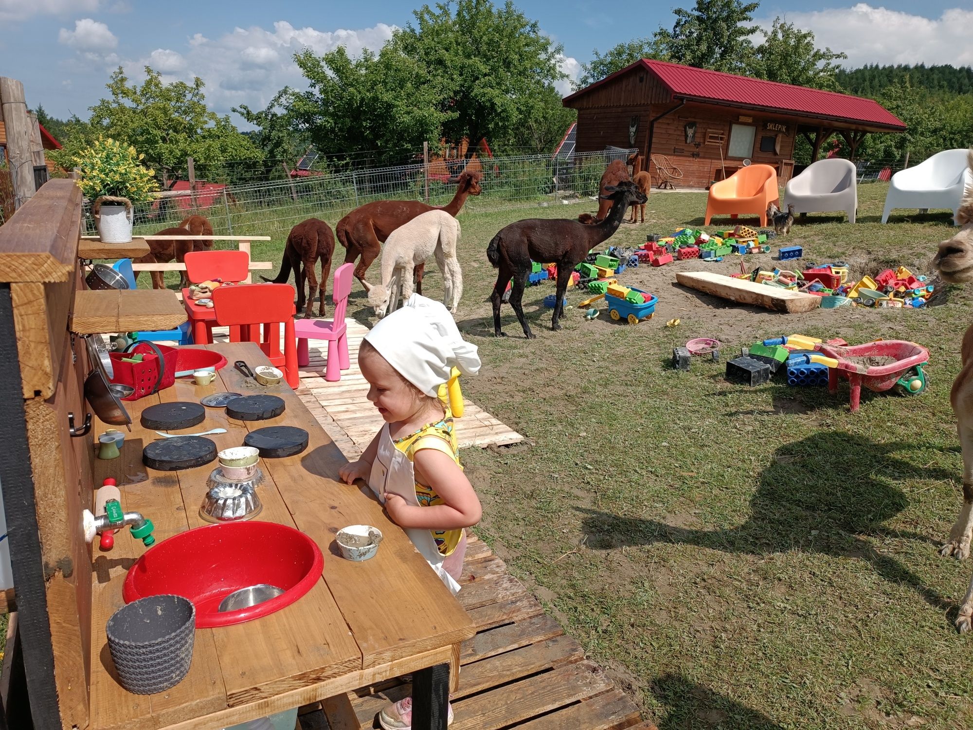 domek + alpaki, SPA, zarybiony staw Bieszczady
