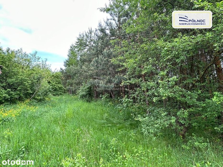 Działka Siedliskowa w Ruskowie 2791m2