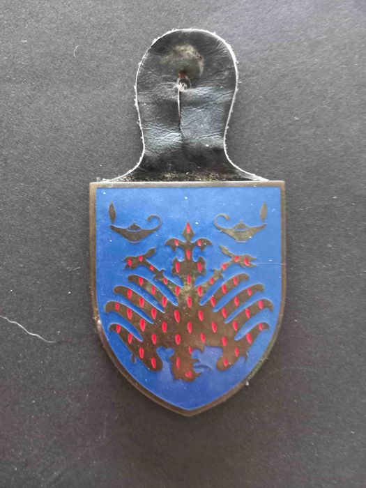 Crachás militares - Coleção - C