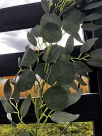Eukaliptus - ozdoby ślubne, dekoracje