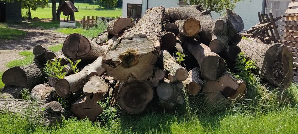 Drewno na deski meble schody akacja wiśnia orzech świerk jesion lipa