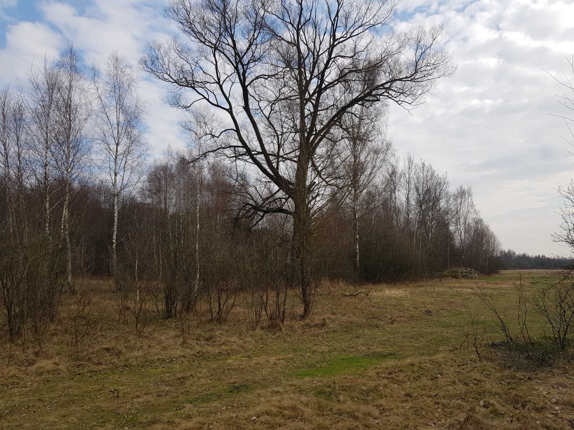 Działka rolno-bud w przepięknej lokalizacji Borki Siedl oś Green Point