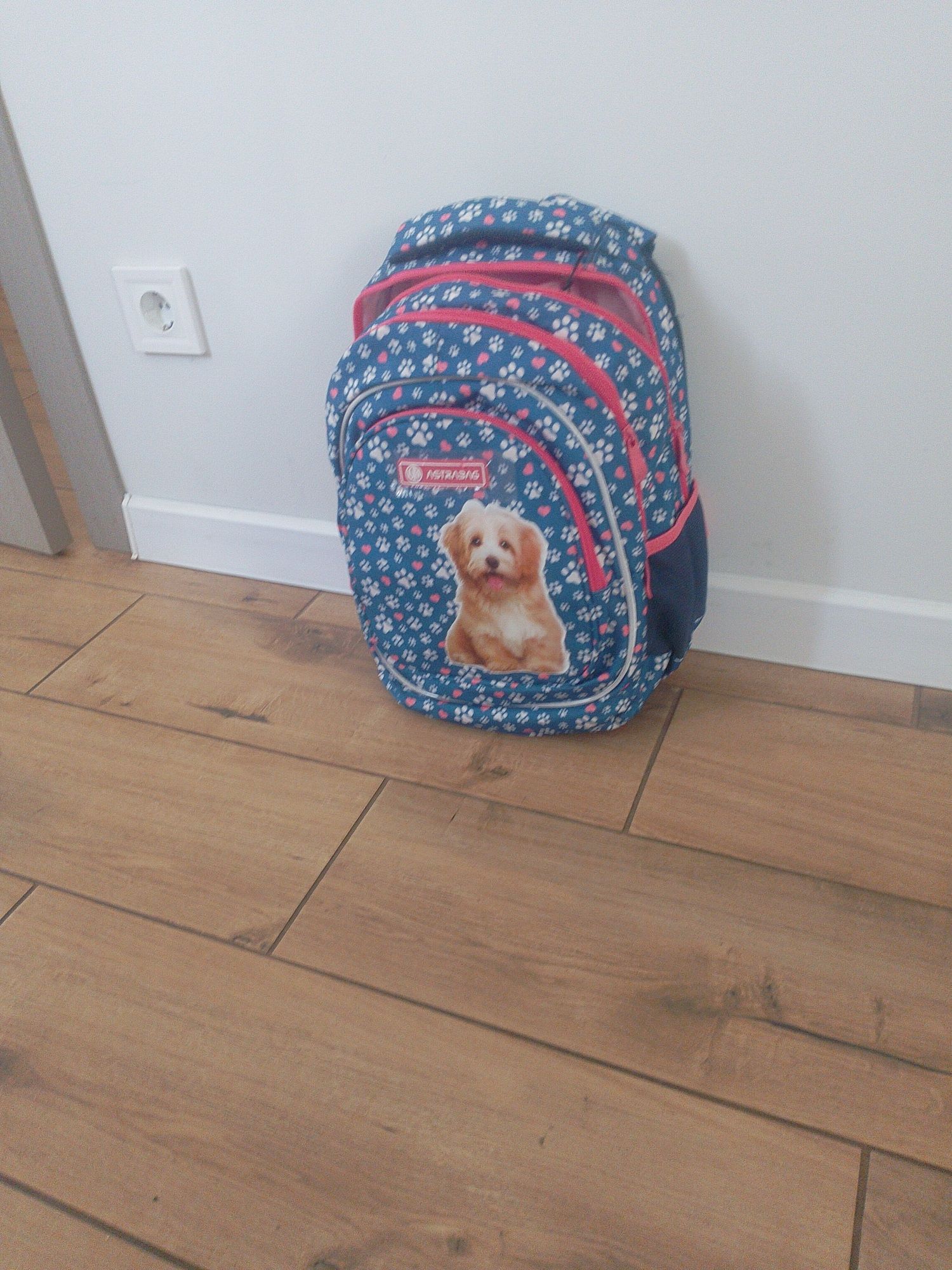 Шкільний рюкзак Astrabag AB330 "Cute Puppy"